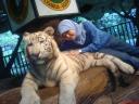 me and harimau putih